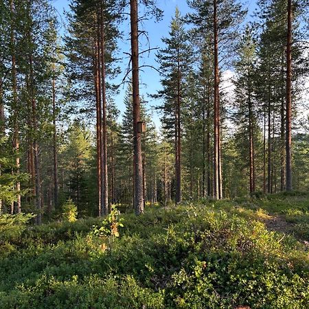 Loppiaiskaari 5, Paljakka Puolanka Экстерьер фото