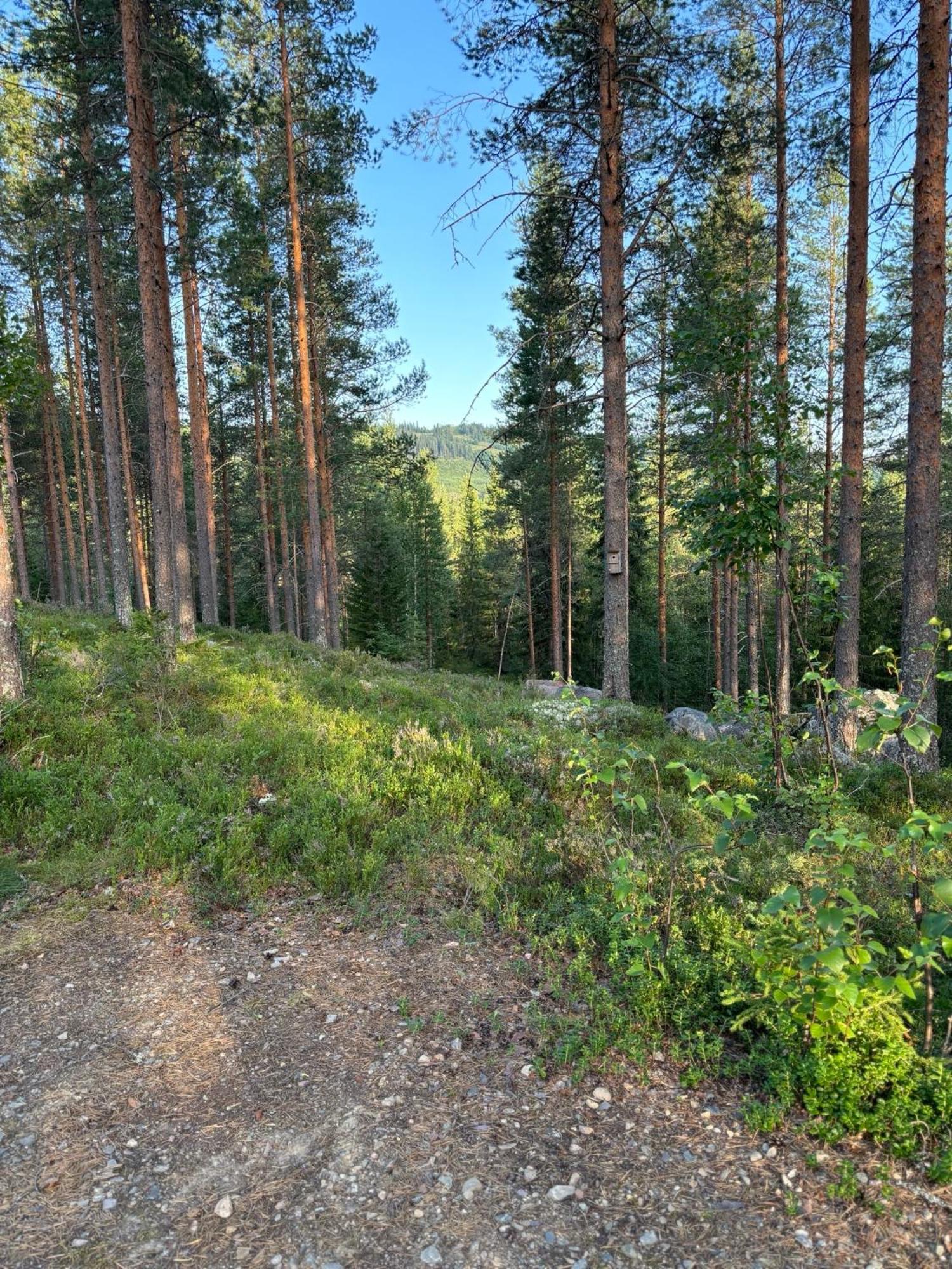 Loppiaiskaari 5, Paljakka Puolanka Экстерьер фото