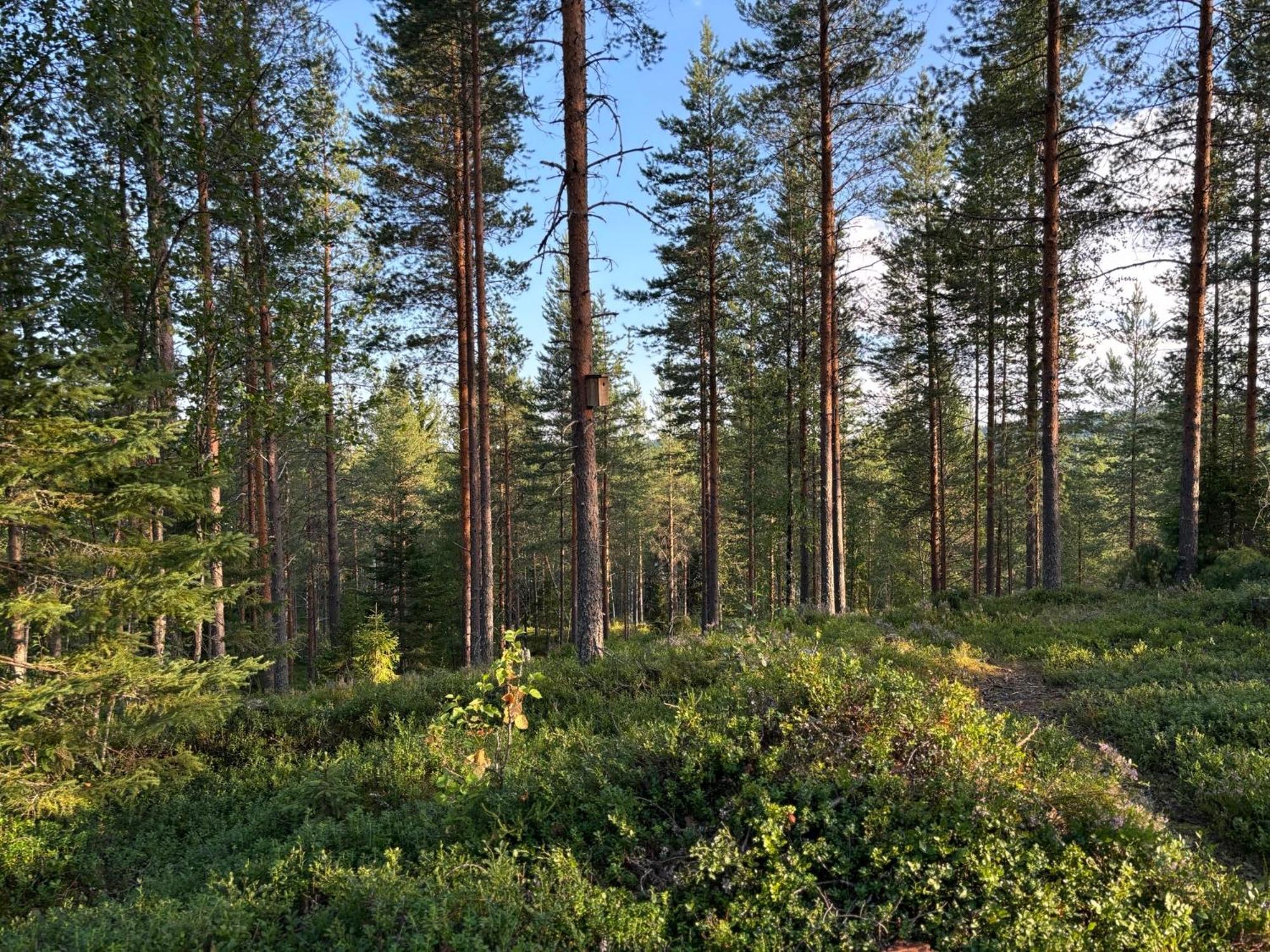 Loppiaiskaari 5, Paljakka Puolanka Экстерьер фото